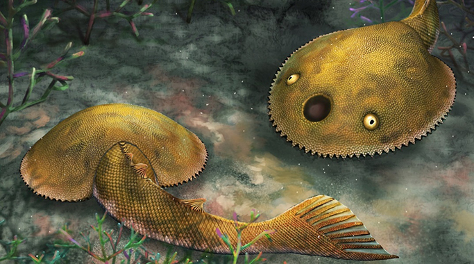 九尾狐甲魚(yú)生態(tài)復(fù)原